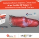 Gaziantep Hasan Kalyoncu Üniversitesi Artec Eva Lite 3D Tarayıcı ile Hastalarına Protez Bacak Üretiyor